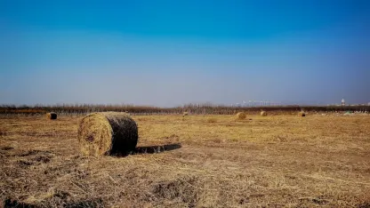 Casino Adrenaline Mobilapp